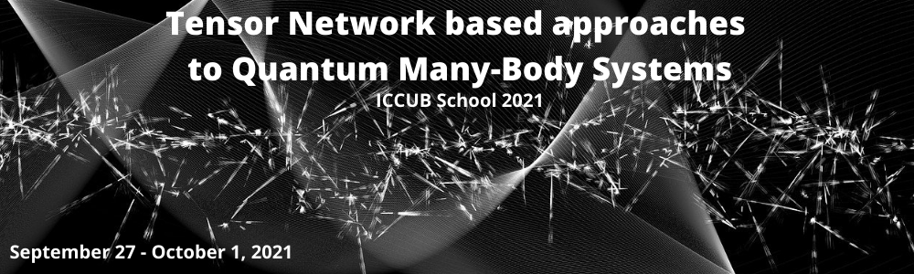 Tensor Network based approaches to Quantum Many-Body Systems   ICCUB School 2021