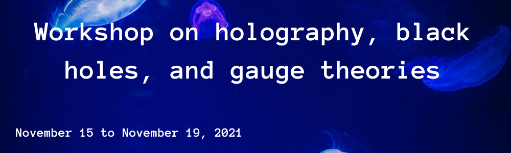 Workshop on holography, black holes, and gauge theories